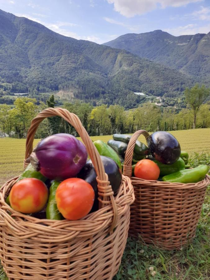 Coste Del Gaggio - Country House B&B - Garda Trentino Drena Dış mekan fotoğraf