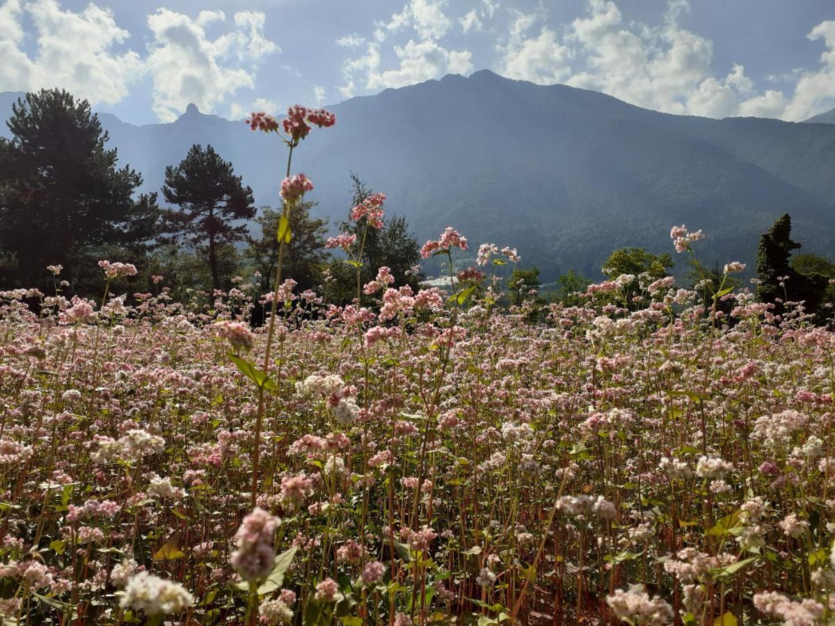 Coste Del Gaggio - Country House B&B - Garda Trentino Drena Dış mekan fotoğraf