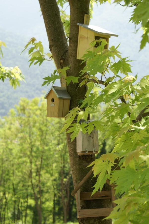 Coste Del Gaggio - Country House B&B - Garda Trentino Drena Dış mekan fotoğraf