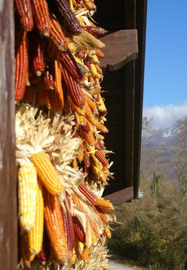 Coste Del Gaggio - Country House B&B - Garda Trentino Drena Dış mekan fotoğraf